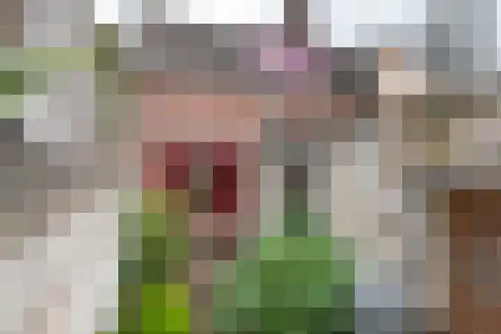 Grotebrugse Grintweg 71 Tiel thumbnail 9