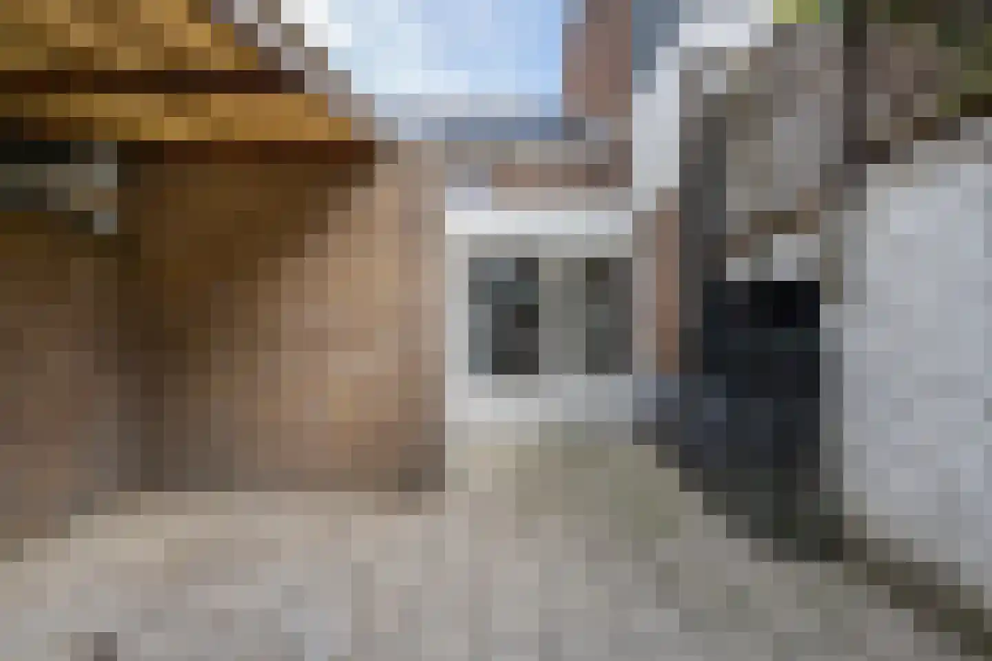Grotebrugse Grintweg 99 Tiel thumbnail 23