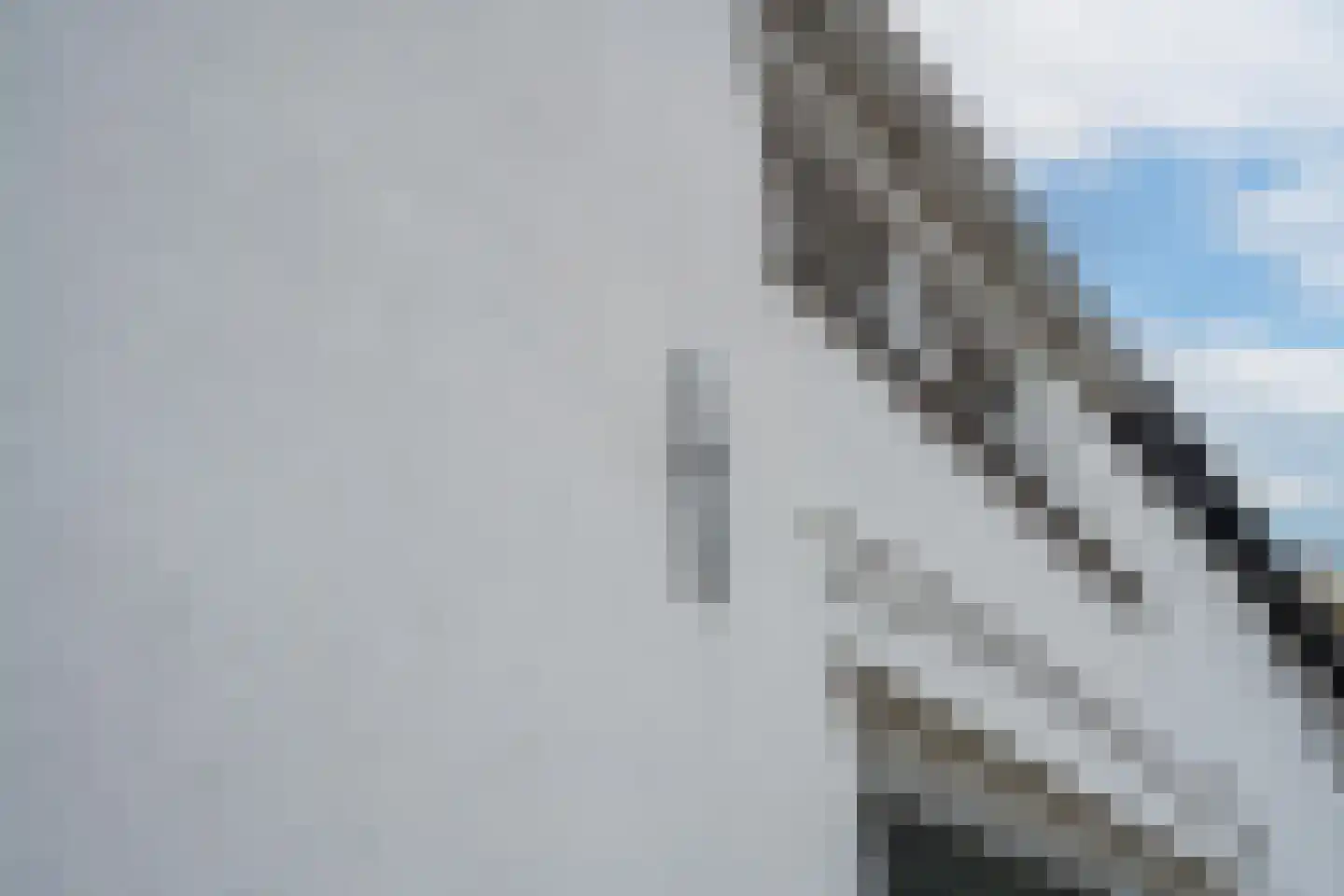 Grotebrugse Grintweg 99 Tiel thumbnail 8