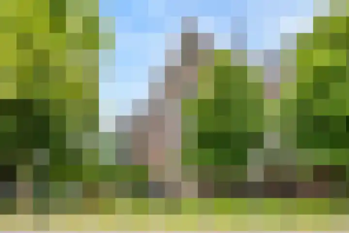 Grotekerksplein 2 Dordrecht thumbnail 32