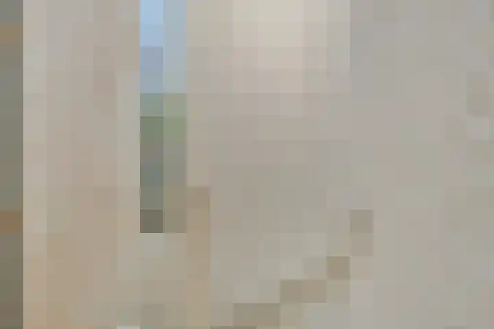 Grotekreek 27 Zwolle thumbnail 12