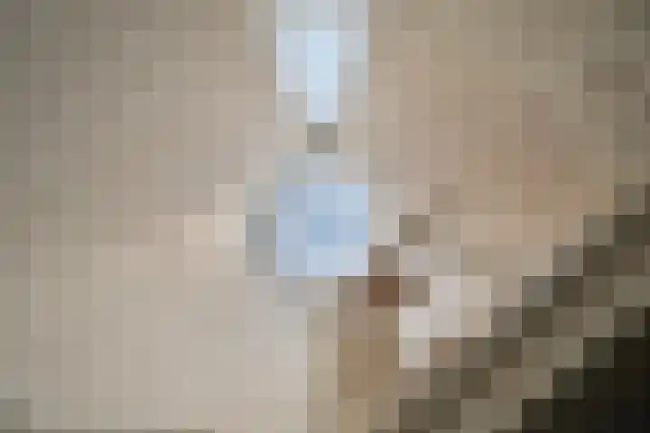 Grotekreek 27 Zwolle thumbnail 13