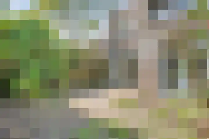 Grotekreek 27 Zwolle thumbnail 23