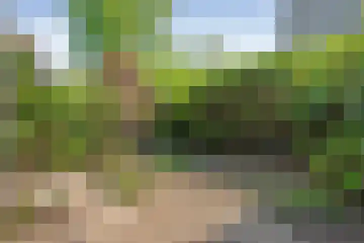 Grotekreek 27 Zwolle thumbnail 24