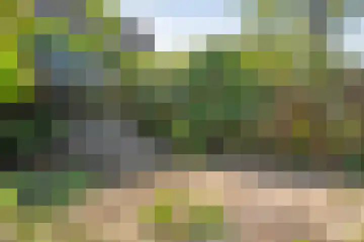 Grotekreek 27 Zwolle thumbnail 25