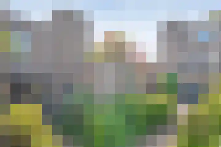 Grotekreek 27 Zwolle thumbnail 27