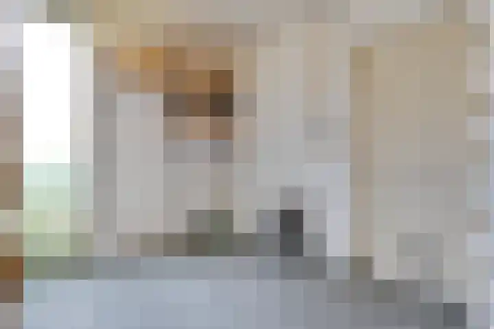 Grotekreek 27 Zwolle thumbnail 29