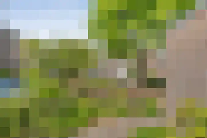 Grotekreek 27 Zwolle thumbnail 31