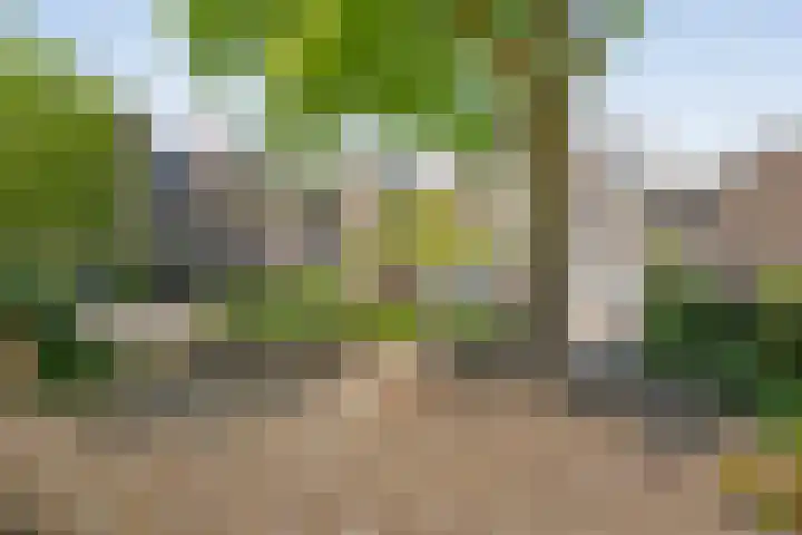 Grotekreek 27 Zwolle thumbnail 32
