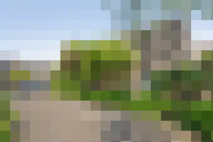 Grotekreek 27 Zwolle thumbnail 33