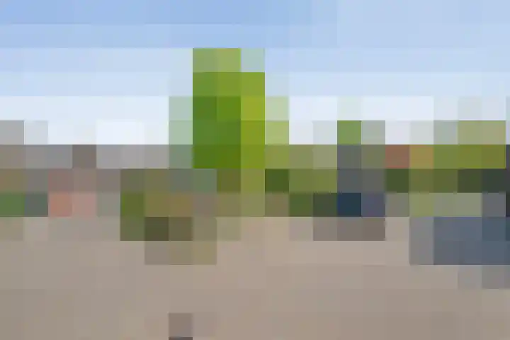 Grotekreek 27 Zwolle thumbnail 34