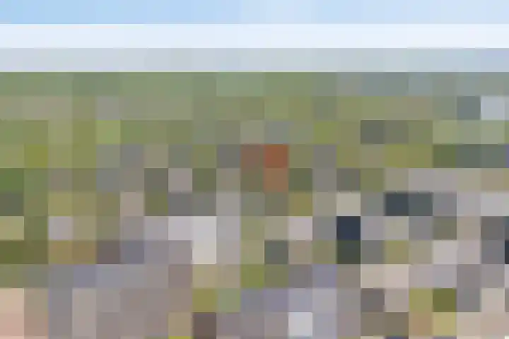 Grotekreek 27 Zwolle thumbnail 35