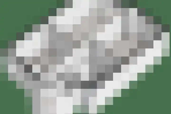 Grotekreek 27 Zwolle thumbnail 39