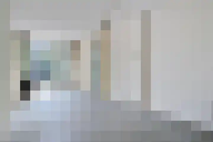 Grotekreek 27 Zwolle thumbnail 4