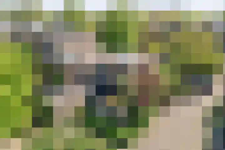 Grotekreek 27 Zwolle thumbnail 42