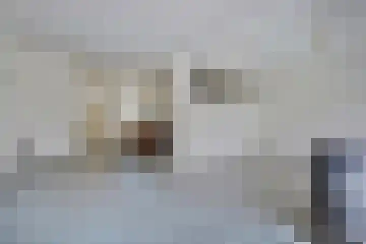 Grotekreek 27 Zwolle thumbnail 6