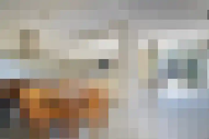 Grotekreek 27 Zwolle thumbnail 7