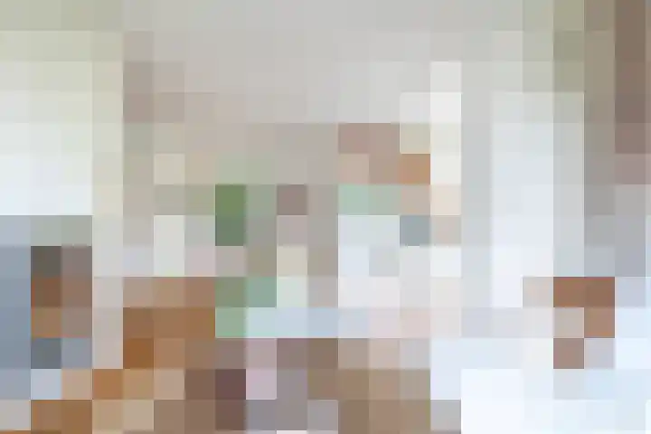 Grotekreek 28 Zwolle thumbnail 12