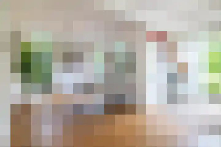 Grotekreek 28 Zwolle thumbnail 14