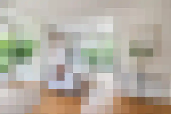 Grotekreek 28 Zwolle thumbnail 16