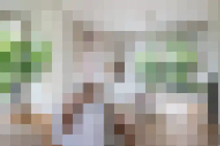 Grotekreek 28 Zwolle thumbnail 17