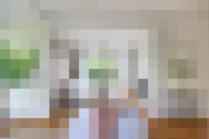 Grotekreek 28 Zwolle thumbnail 18
