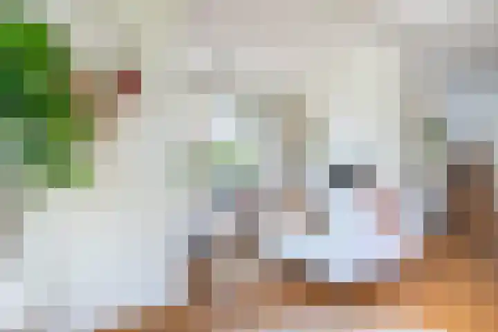 Grotekreek 28 Zwolle thumbnail 19