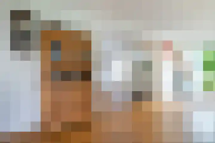 Grotekreek 28 Zwolle thumbnail 20