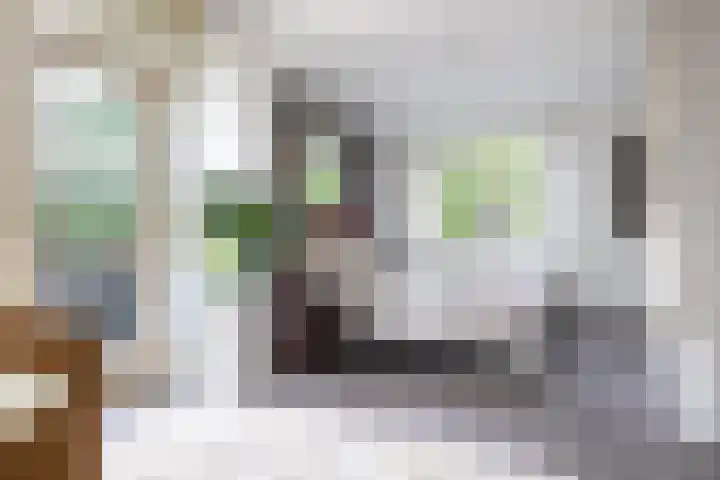 Grotekreek 28 Zwolle thumbnail 25