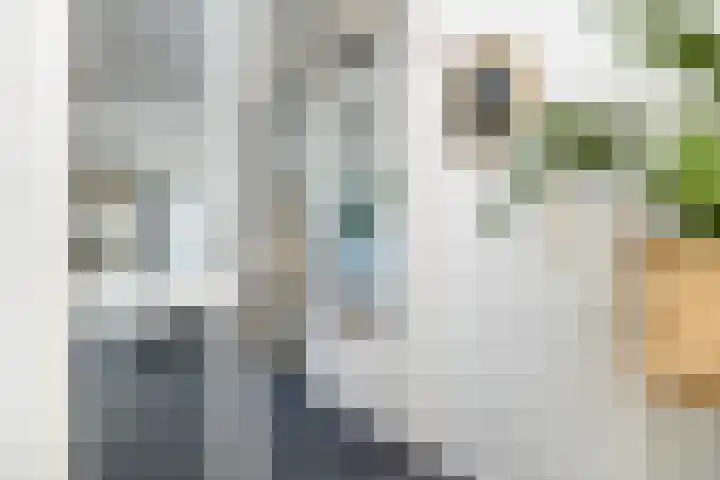 Grotekreek 28 Zwolle thumbnail 38