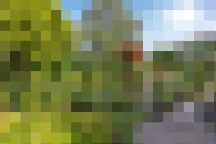 Grotekreek 28 Zwolle thumbnail 4