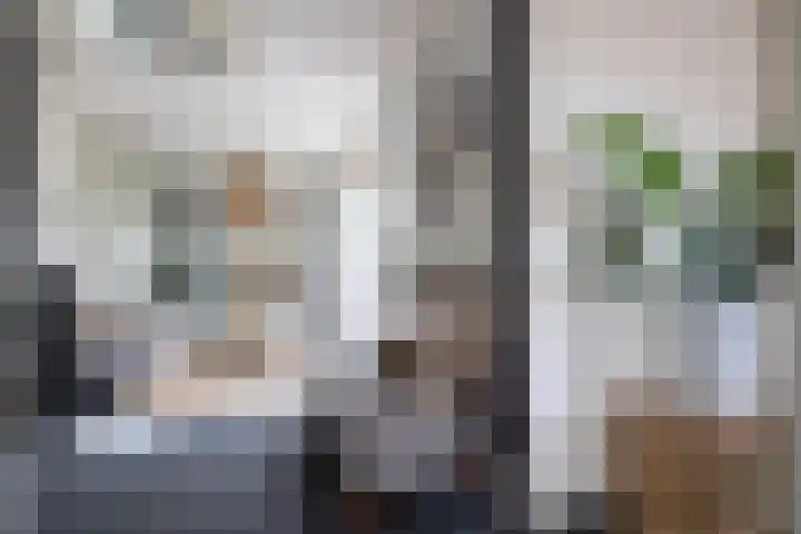 Grotekreek 28 Zwolle thumbnail 40