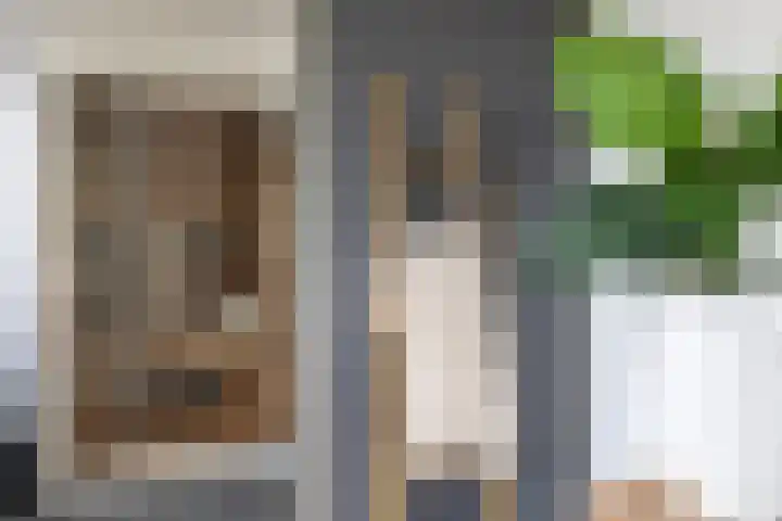 Grotekreek 28 Zwolle thumbnail 43