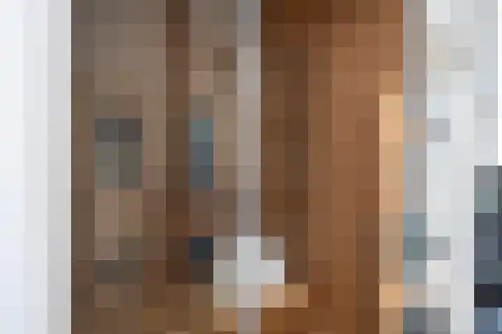 Grotekreek 28 Zwolle thumbnail 44