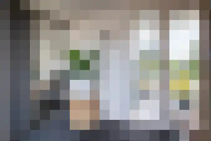 Grotekreek 28 Zwolle thumbnail 47