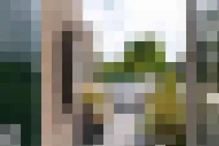 Grotekreek 28 Zwolle thumbnail 48