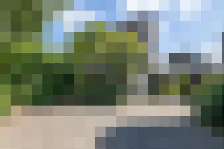 Grotekreek 28 Zwolle thumbnail 5