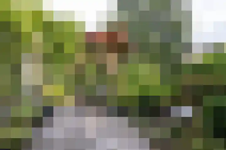 Grotekreek 28 Zwolle thumbnail 50