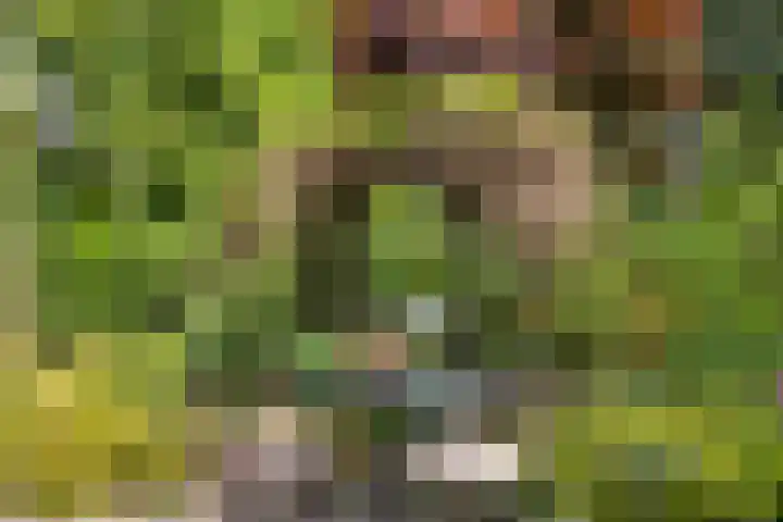 Grotekreek 28 Zwolle thumbnail 51