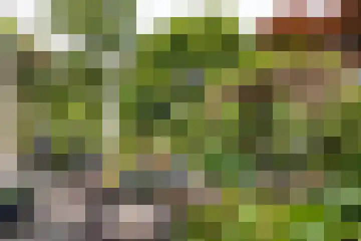 Grotekreek 28 Zwolle thumbnail 52