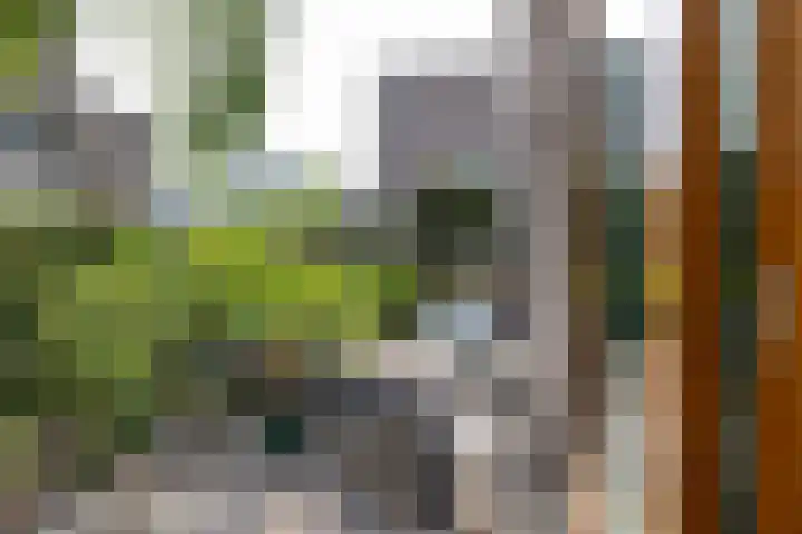 Grotekreek 28 Zwolle thumbnail 54