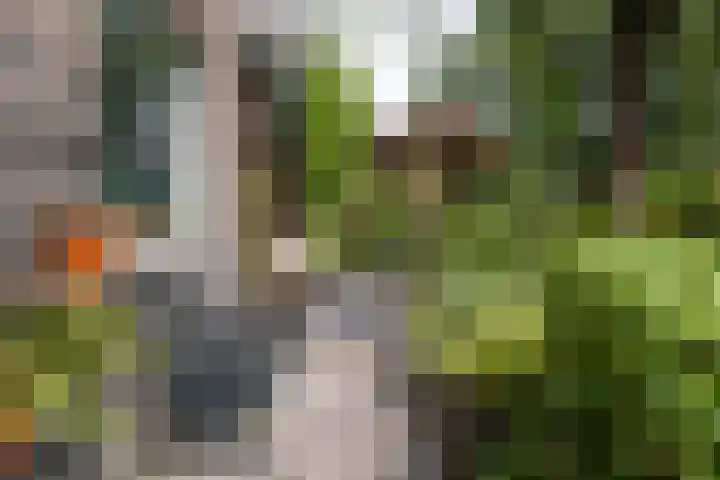 Grotekreek 28 Zwolle thumbnail 55