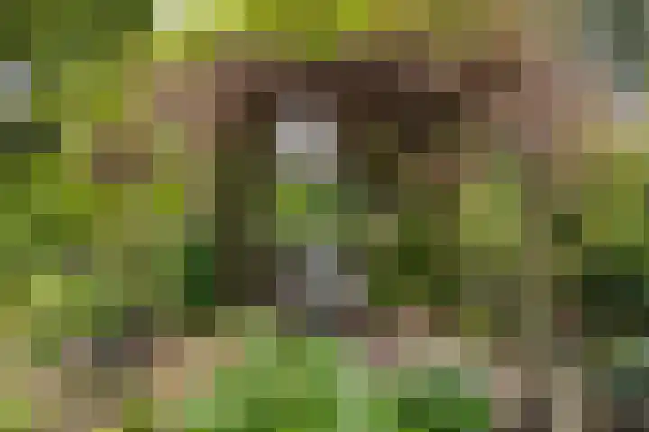 Grotekreek 28 Zwolle thumbnail 56