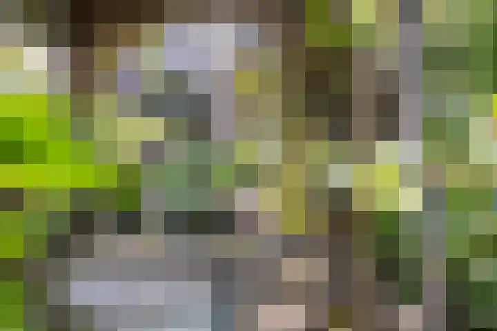 Grotekreek 28 Zwolle thumbnail 57