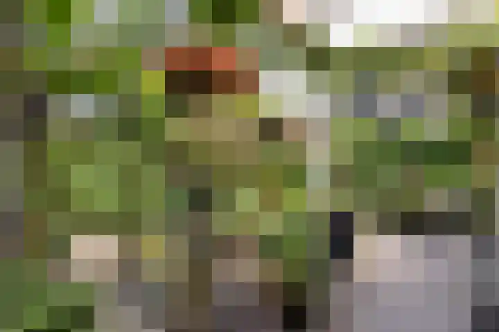 Grotekreek 28 Zwolle thumbnail 60