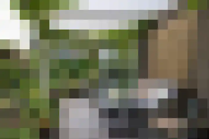 Grotekreek 28 Zwolle thumbnail 61