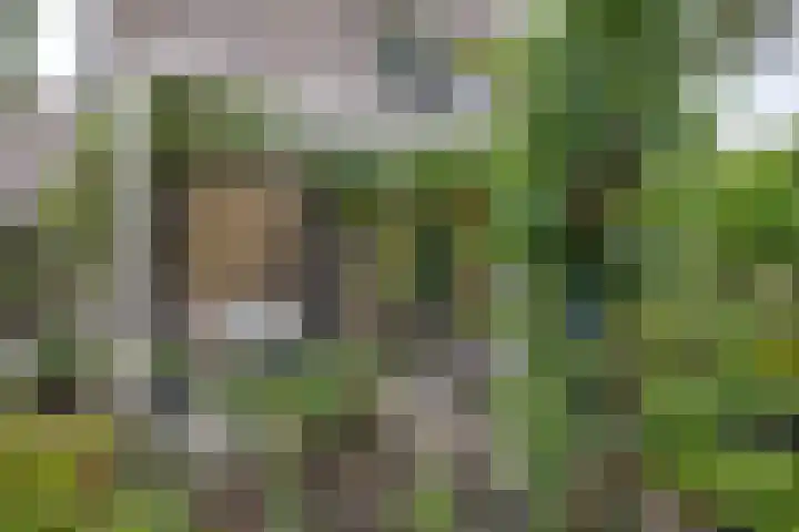 Grotekreek 28 Zwolle thumbnail 62