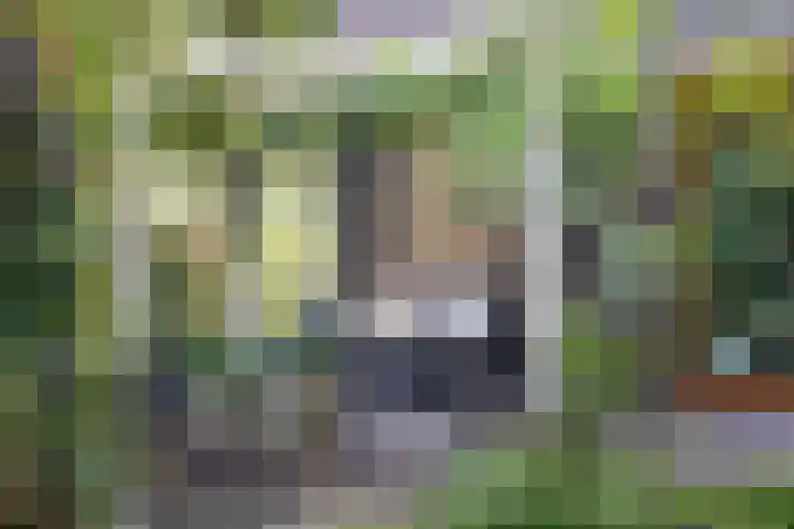 Grotekreek 28 Zwolle thumbnail 64