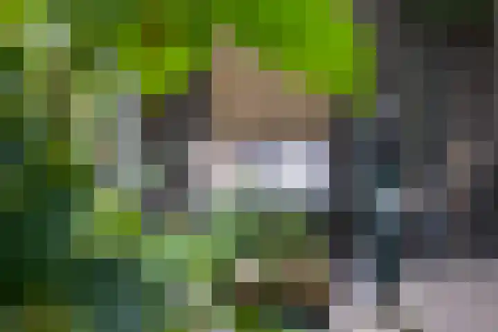 Grotekreek 28 Zwolle thumbnail 65