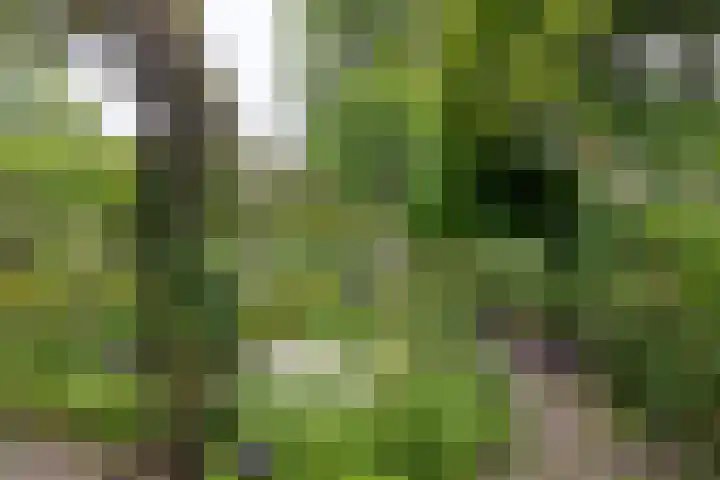 Grotekreek 28 Zwolle thumbnail 66